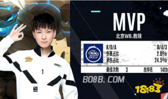小熊队在一